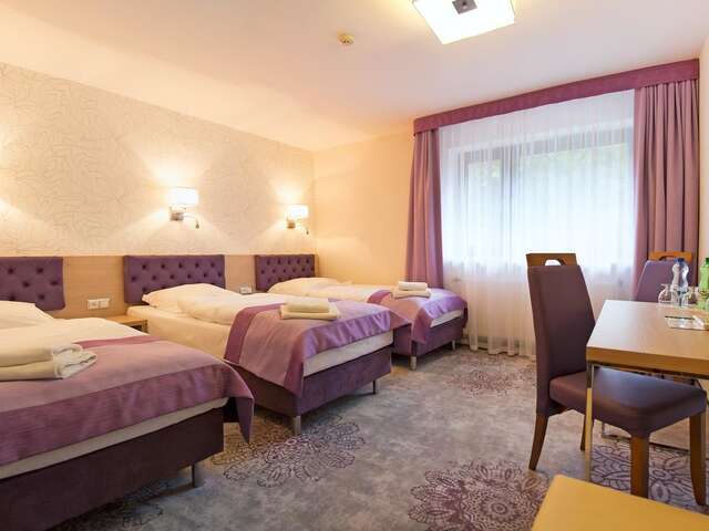 Отель Jamrozowa Polana Hotel & Browar Душники-Здруй-34